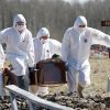 Reuter: Избыточная смертность в России с апреля прошлого года по май нынешнего составила 428 тысяч человек